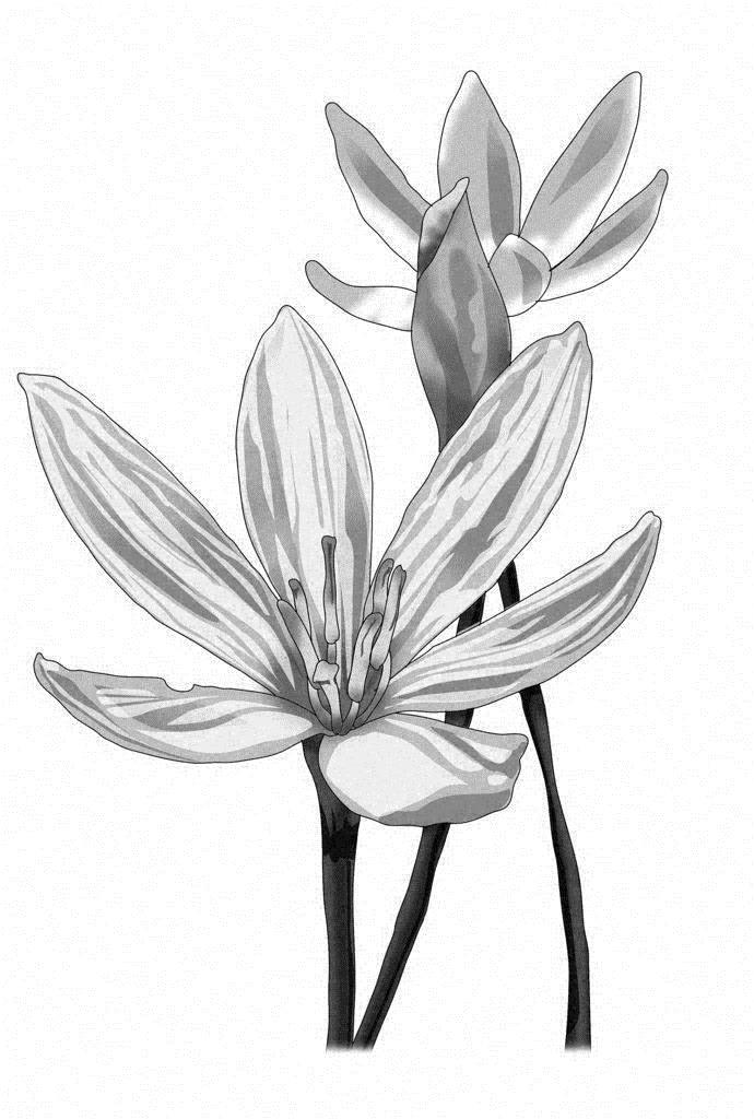 教学 10月度座談会拝読御書 日女御前御返事 御本尊相貌抄 18年10月1日 Sumo7 S Blog 教学 10月度座談会拝読御書 日女御前御返事 御本尊相貌抄 18年10月1日 Sumo7 S Blog