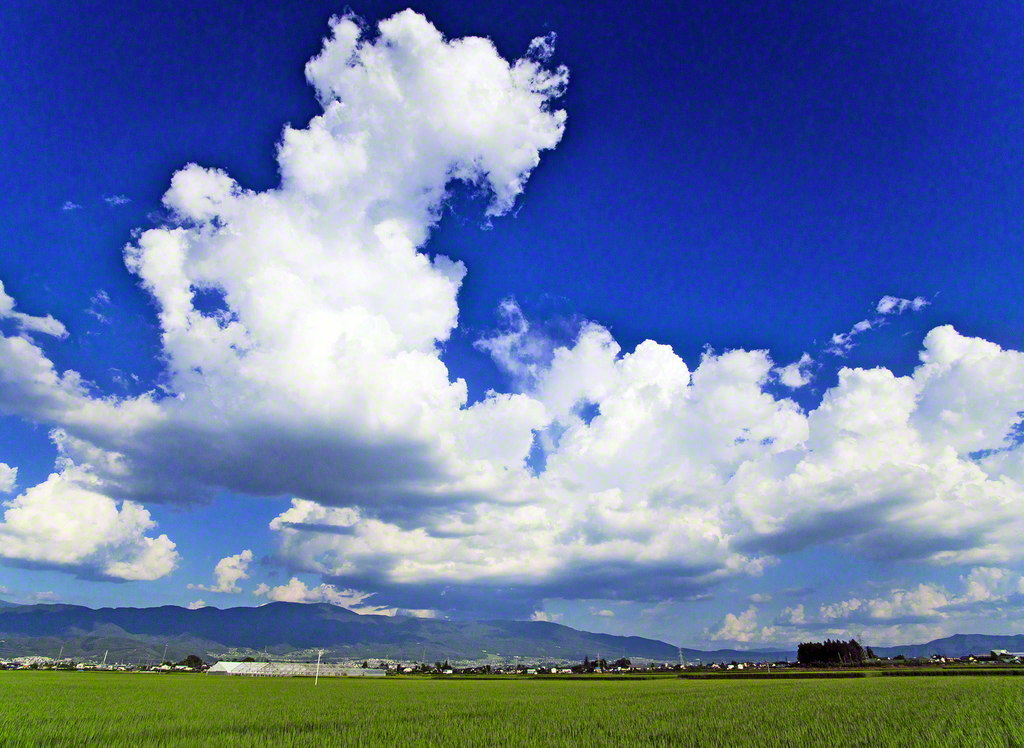 my seiky Memory 2019年7月