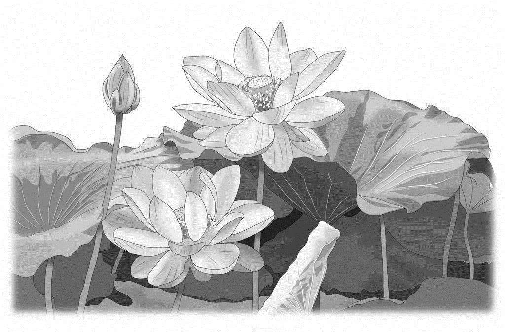 教学 7月度座談会拝読御書 種種御振舞御書 18年7月3日 Sumo7 S Blog 教学 7月度座談会拝読御書 種種御振舞御書 18年7月3日 Sumo7 S Blog