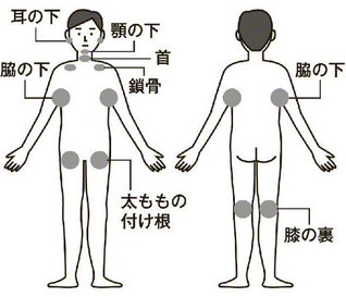 リンパ節の主な場所