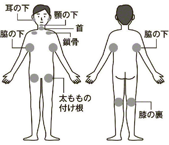 健康 悪性リンパ腫 健友館ゆうき整体院 健康 悪性リンパ腫 健友館ゆうき整体院