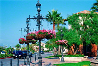 アメリカ・ロサンゼルスの街並みを、赤やピンクの花々で飾られた街灯、緑の木々が明るく彩る（１９９６年６月、池田先生撮影）