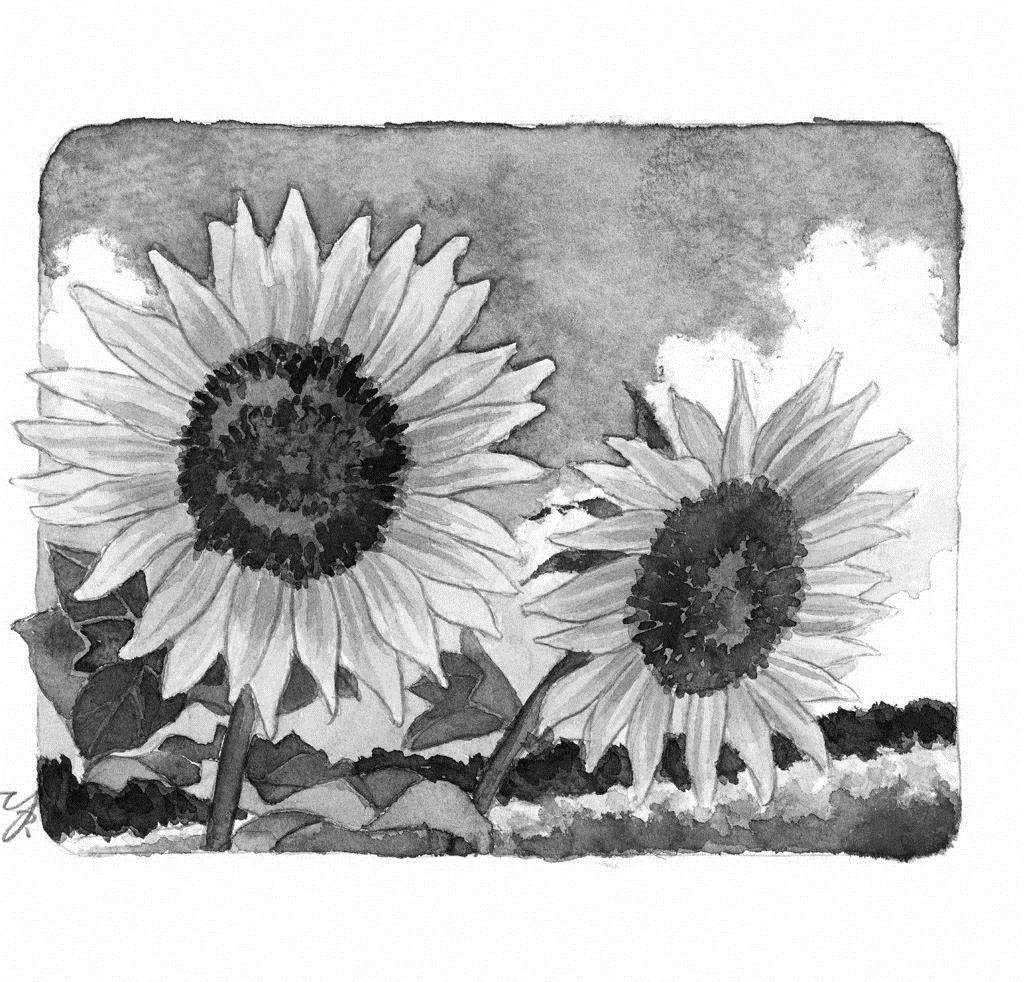 sumo7's blog  〈池田先生と共に 新時代を築く〉 2019年8月14日