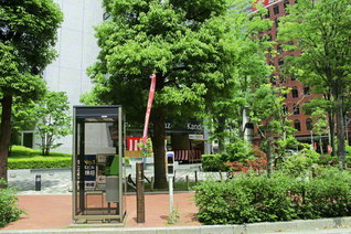 若葉がまぶしい東京・千代田区西神田の街角。戦後間もない頃、この一角に草創の学会本部があった（４月３０日、池田先生撮影）