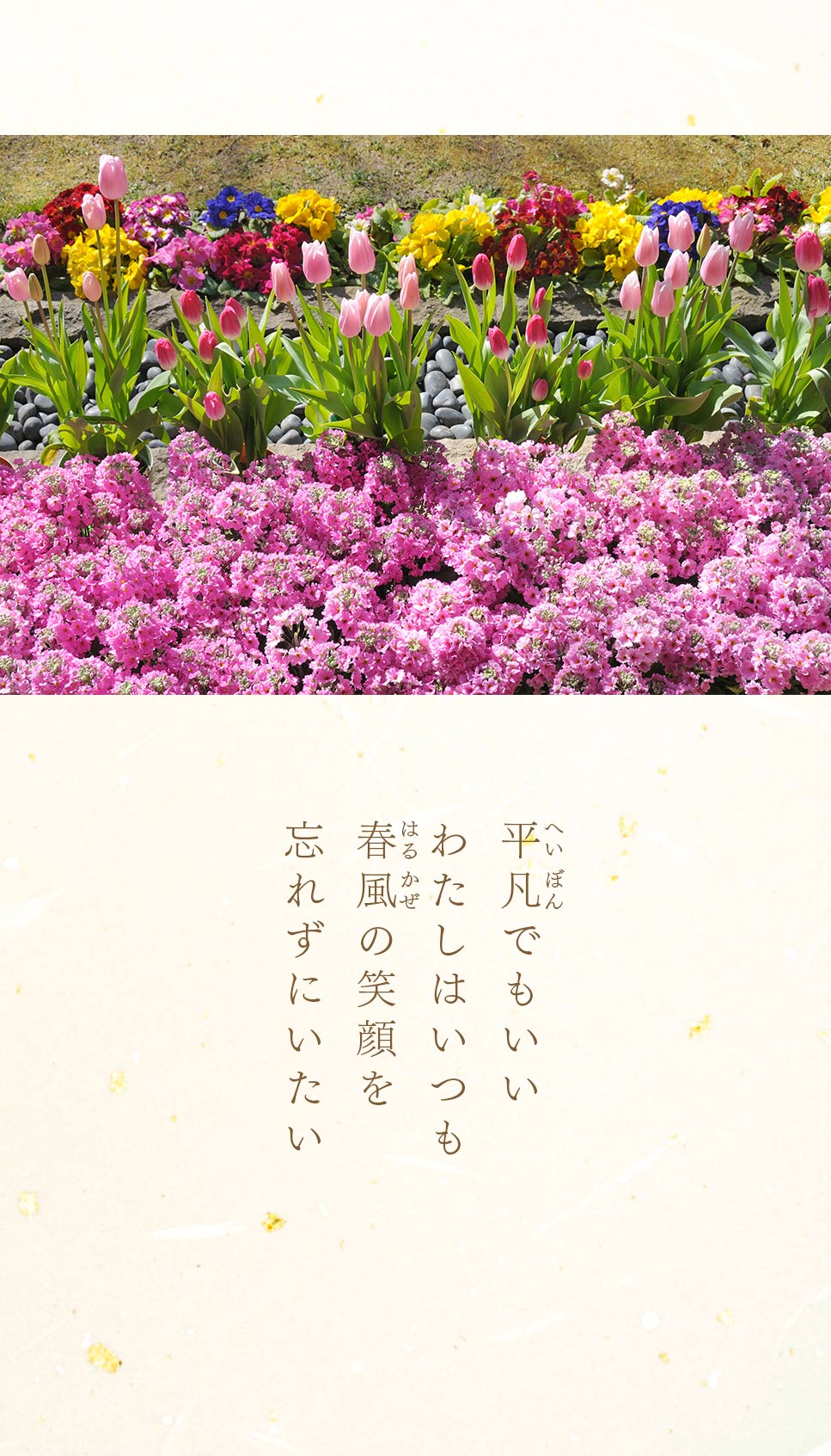 池田先生のデジタル写真集(6月号) 池田先生のデジタル写真集(6月号)