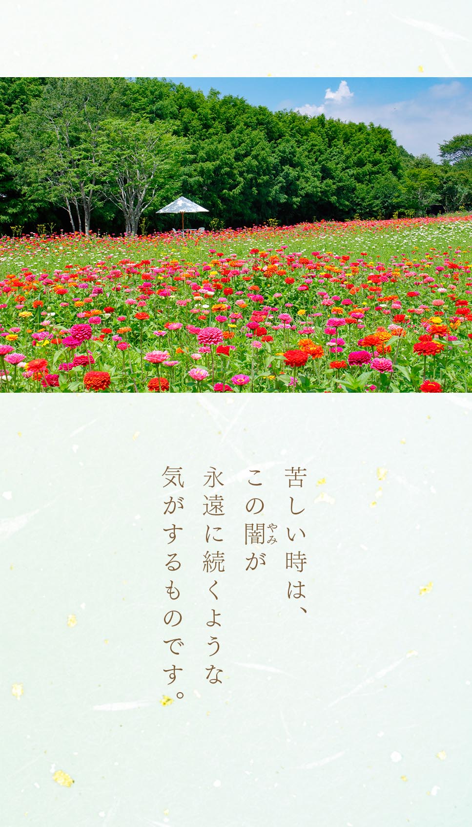 池田先生のデジタル写真集（5月号）