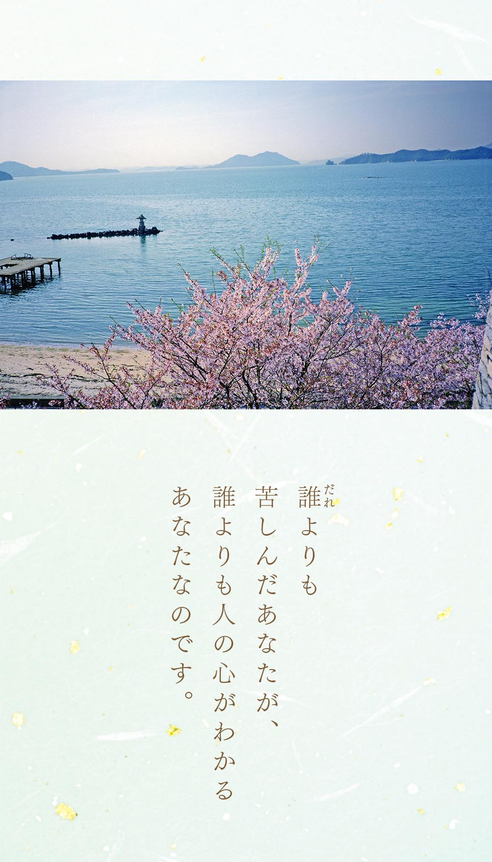 池田先生のデジタル写真集（5月号）