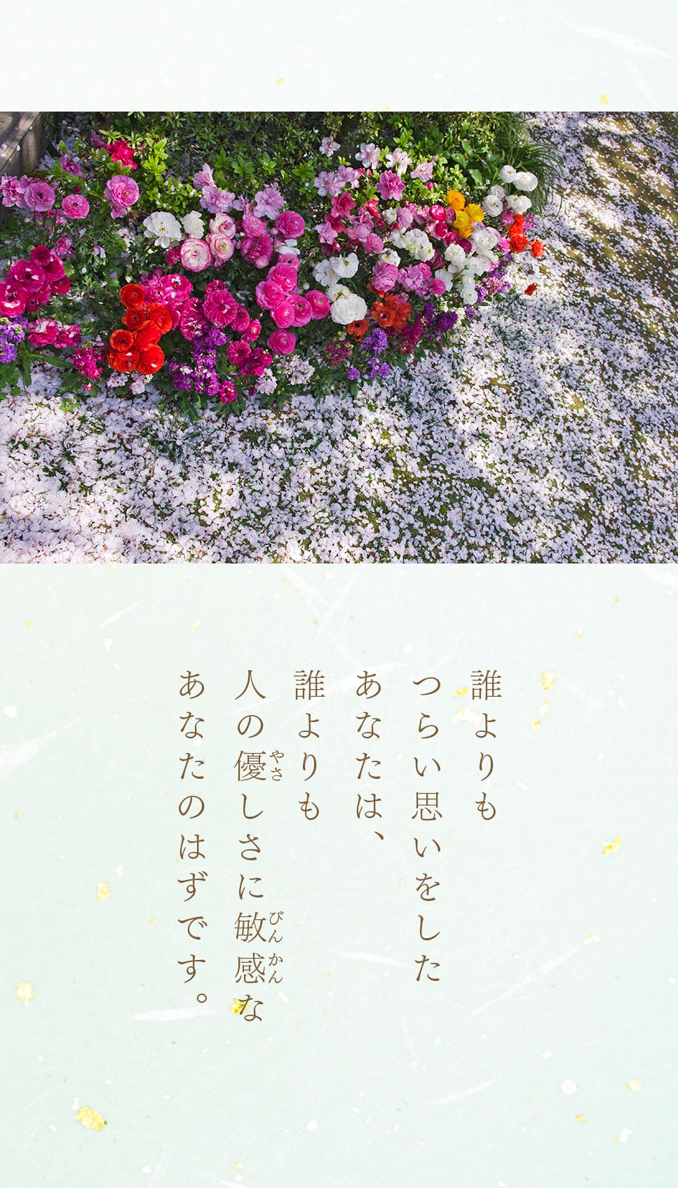 池田先生のデジタル写真集（5月号）