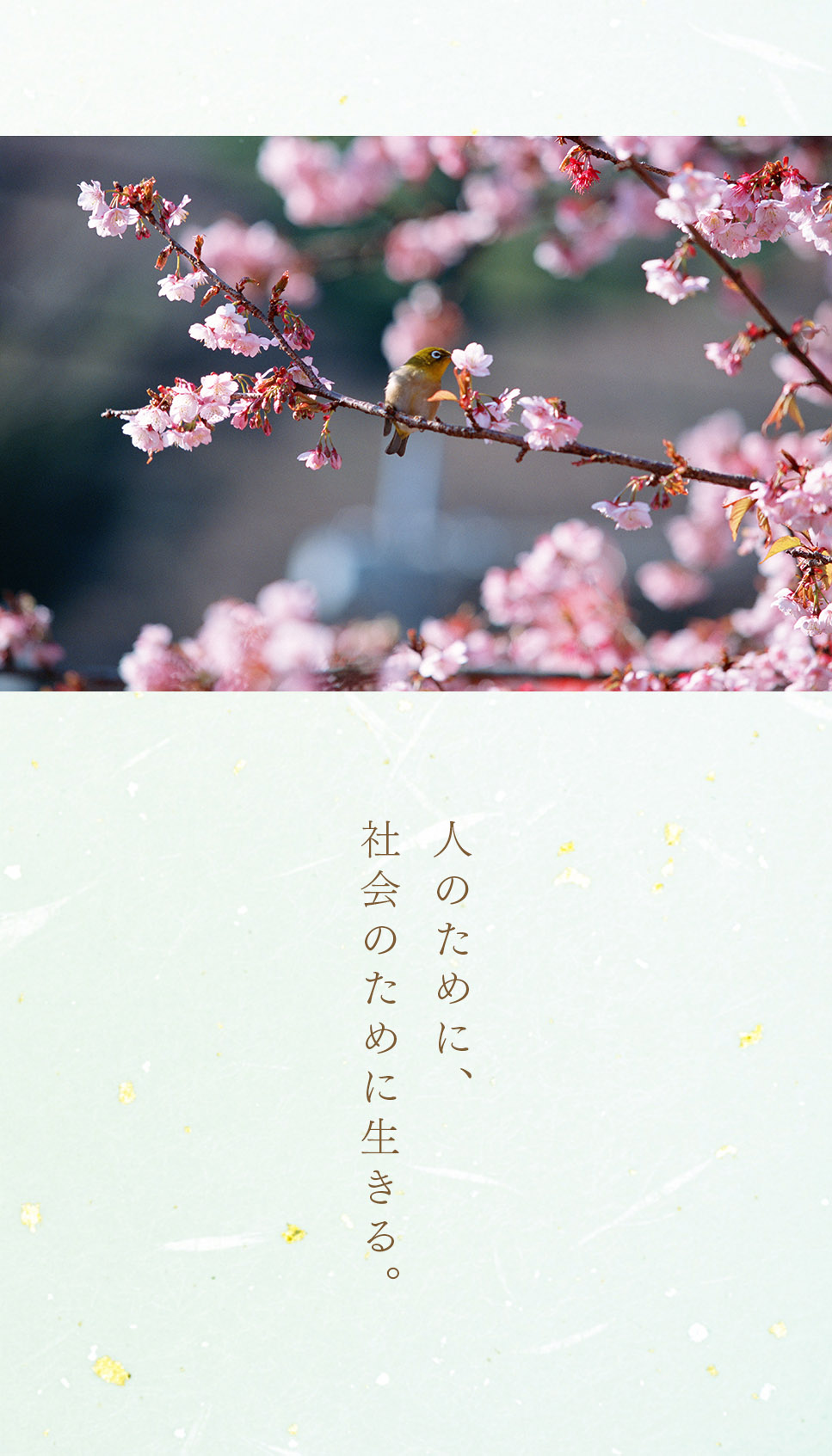 池田先生のデジタル写真集（5月号）