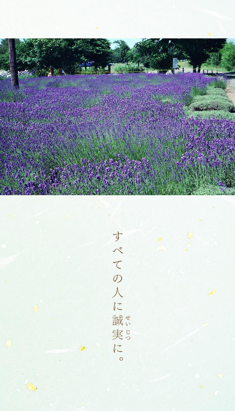 池田先生のデジタル写真集（5月号）