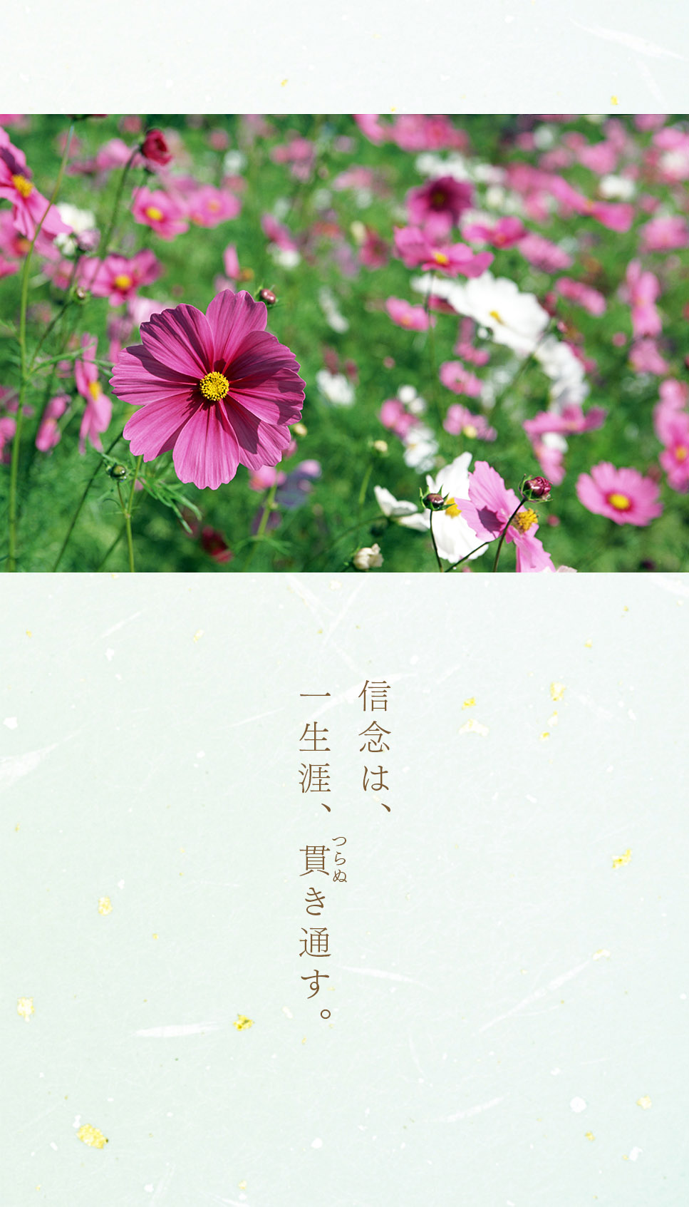 池田先生のデジタル写真集（5月号）