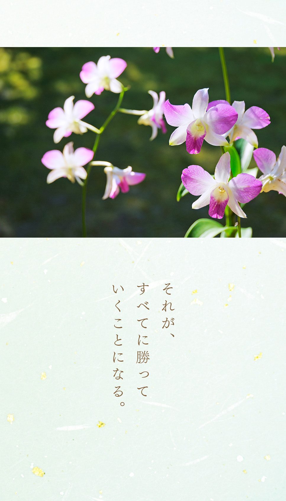 池田先生のデジタル写真集（5月号）